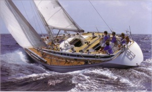 swan46.jpg